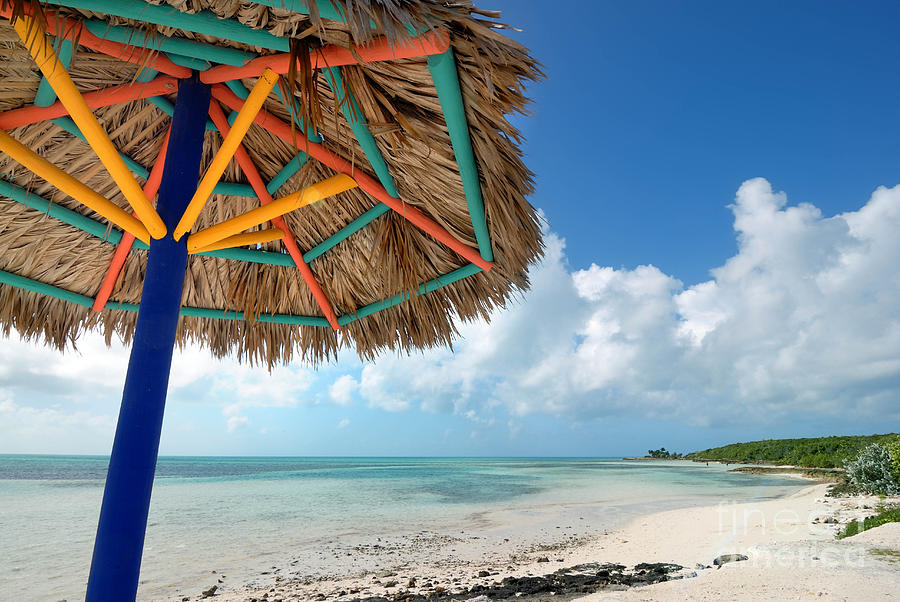 Beach Umbrella at Coco Cay Photograph by Amy Cicconi