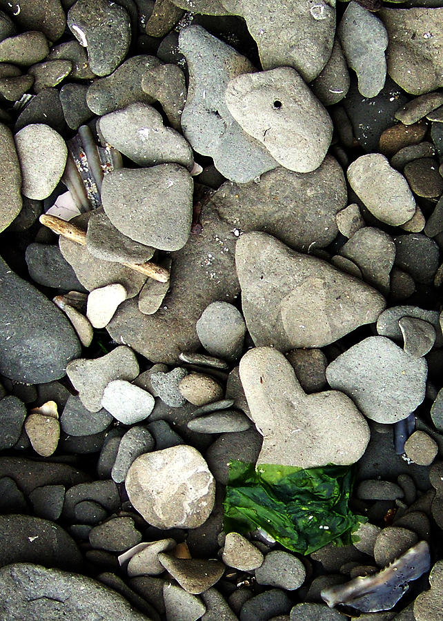 Beach Valentine Photograph by Rebecca Sherman