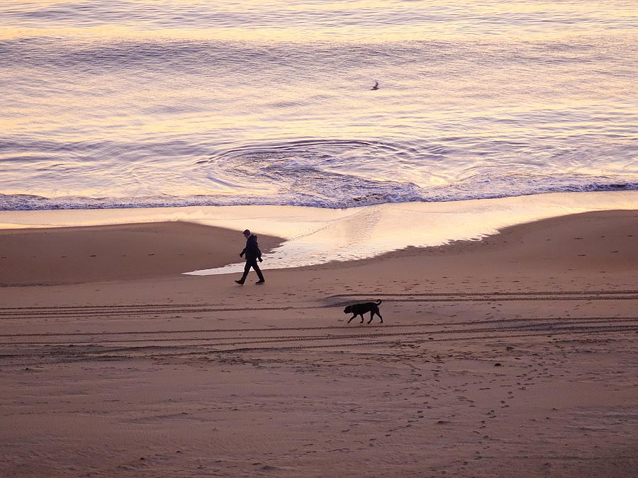 Beach Walking Buddies Photograph by Rick Rosenshein