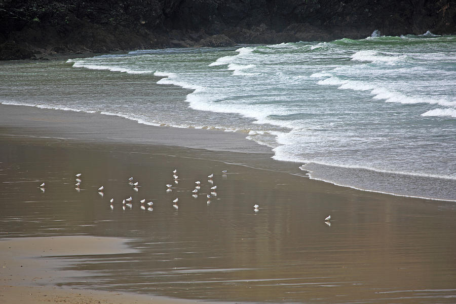 Beach, Waves And Seagulls Photograph by Hiroshi Higuchi