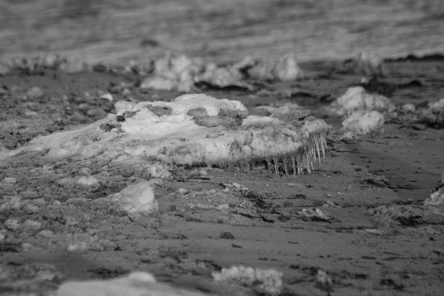 Beach With Ice Formations Photograph