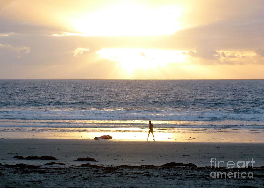 Sunset Photograph - Beachcomber Encounter by Barbie Corbett-Newmin