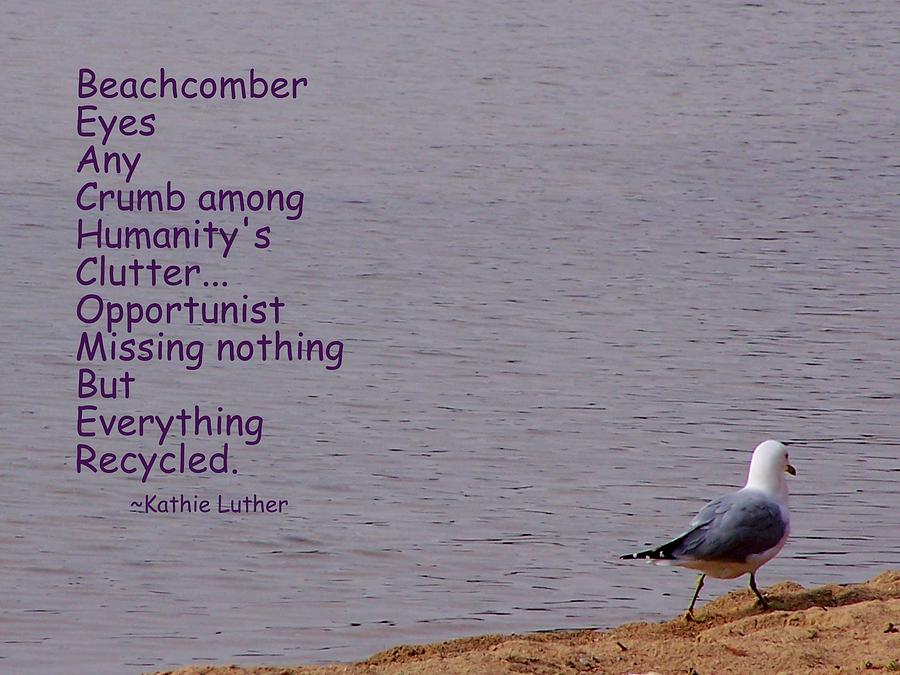Seagull Photograph - Beachcomber by Kathleen Luther