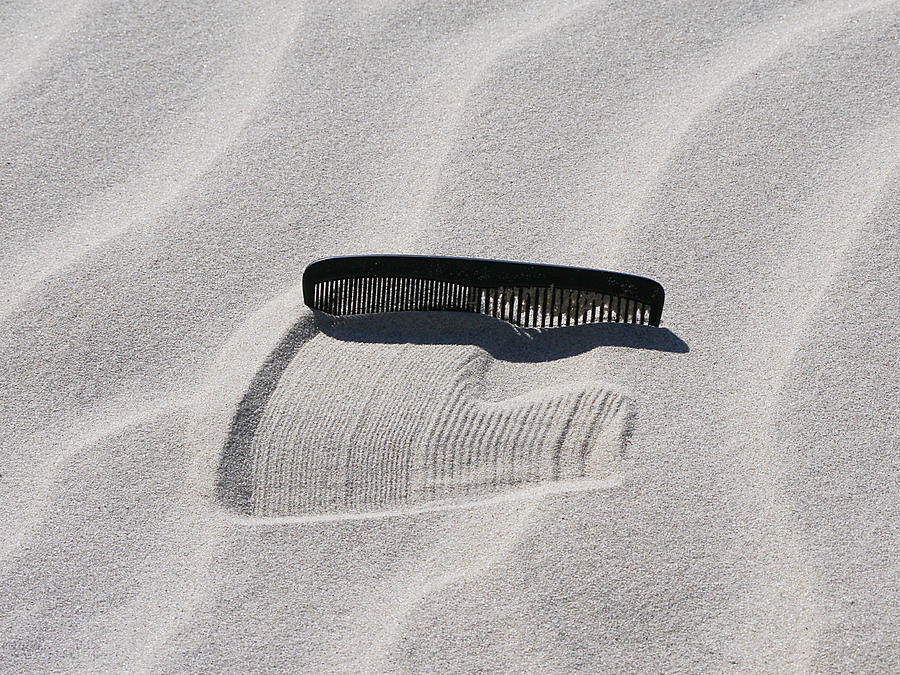 Beachcombing Photograph by Richard Reeve