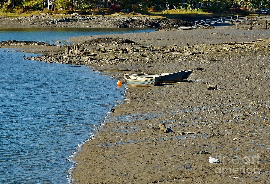 Beached Dinghy Photograph