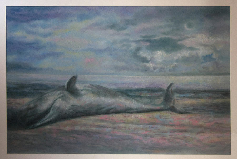 Beached Whale Drawing by Paez  Antonio