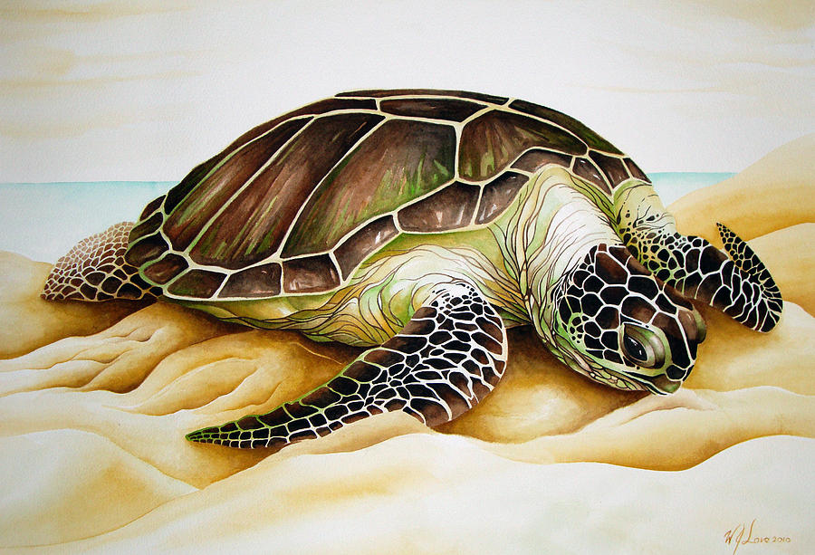 Turtle Painting - Beached by William Love