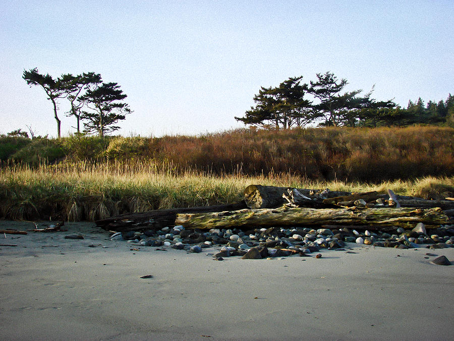 Beachscape Photograph by Ronda Broatch