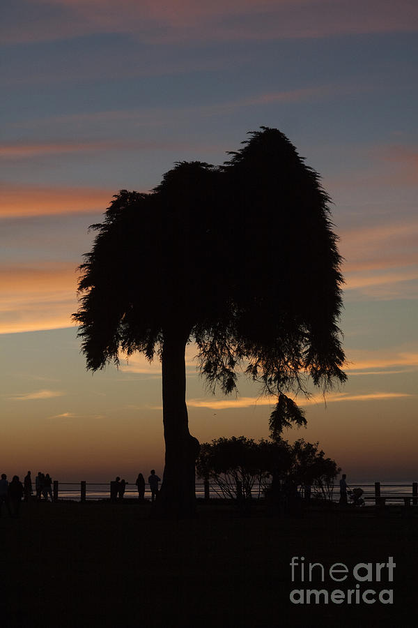 Beachside Sunset in La Jolla Photograph by Ruth Jolly