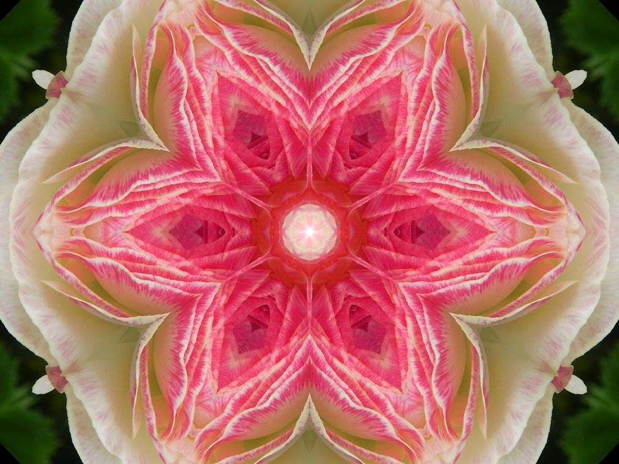 Beacon of Light Rose Mandala Digital Art by Diane Lynn Hix
