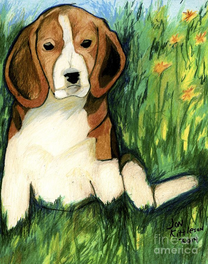 Beagle Drawing by Jon Kittleson