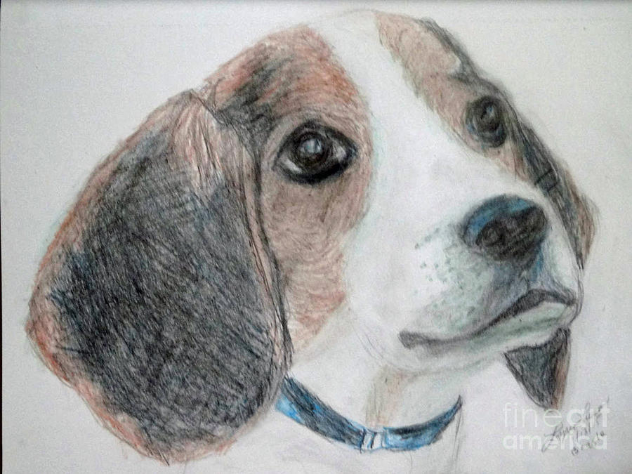 Beagle Drawing by Lyric Lucas
