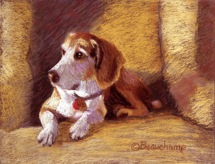 Beagle Pastel by Nancy Beauchamp