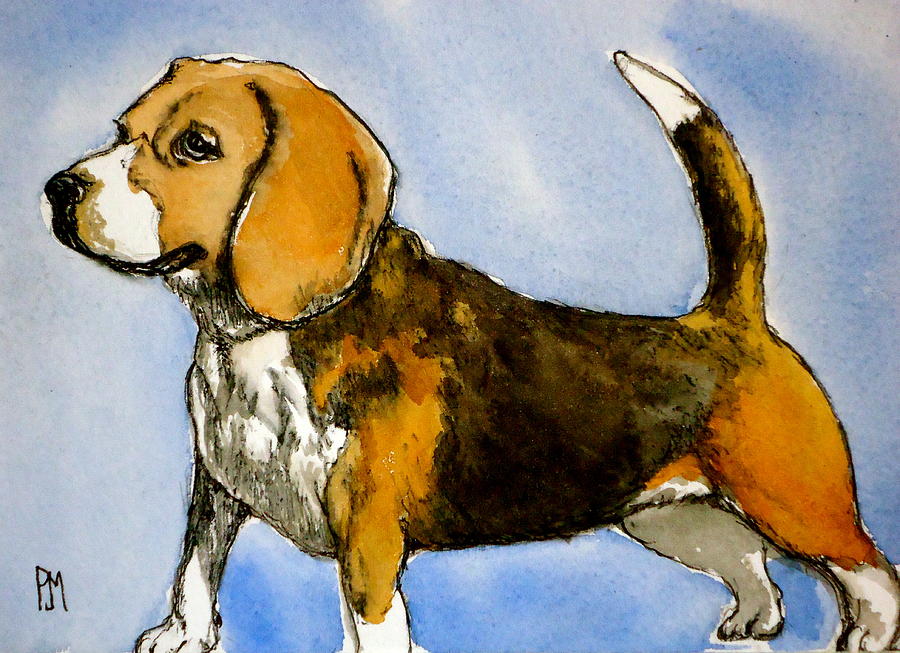 Beagle Painting - Beagle by Pete Maier