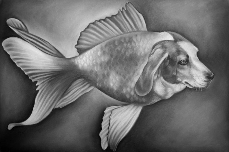 Fish Drawing - Beaglefish by Courtney Kenny Porto
