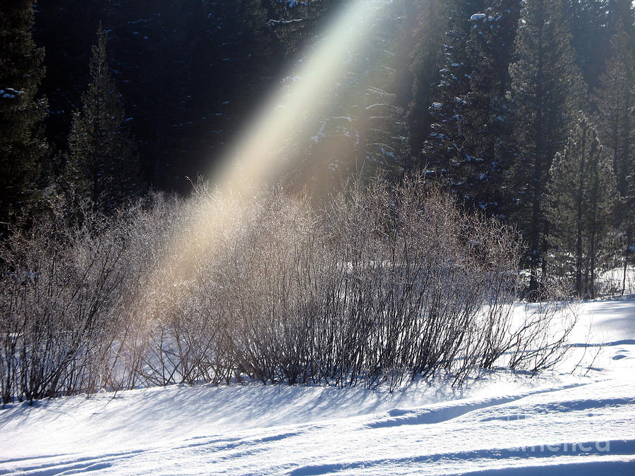 Beam of Light Photograph by NightVisions
