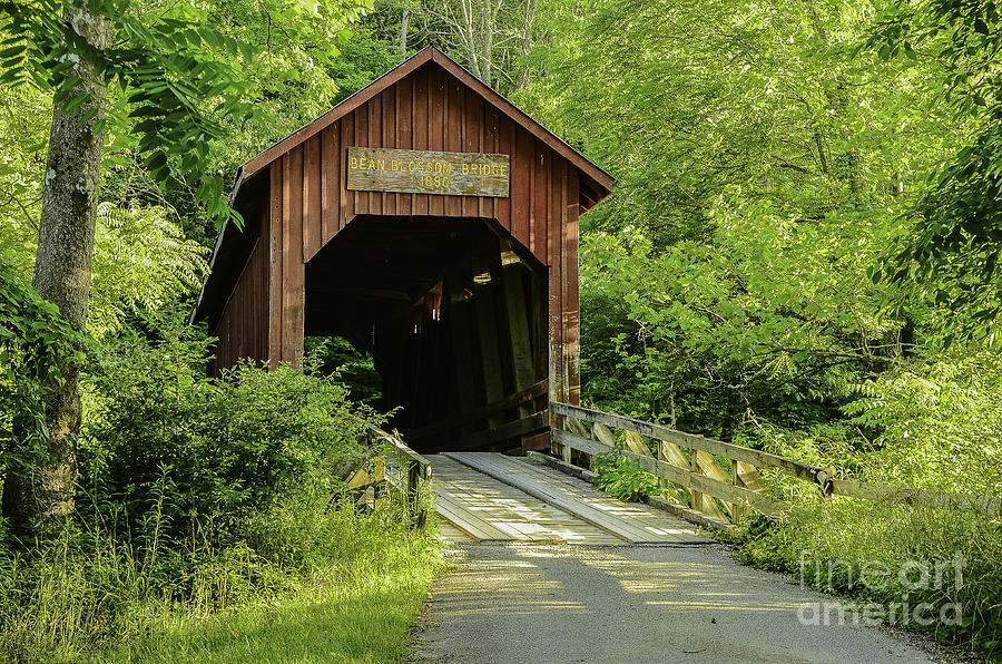 Architecture Photograph - Bean Blossom Covered Bridge by Mary Carol Story
