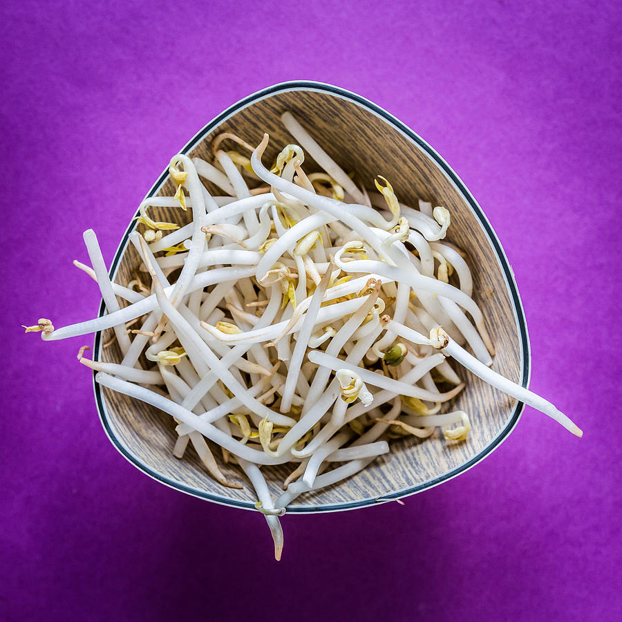Bean Sprouts Photograph by Philippe Garo
