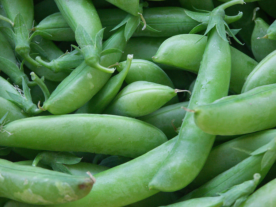 Beans Photograph by Bonnie Sue Rauch - Fine Art America