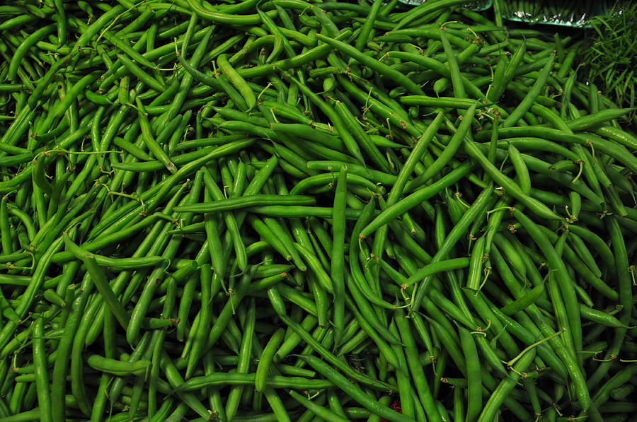 Vegetable Photograph - Green Beans by Robert Habermehl