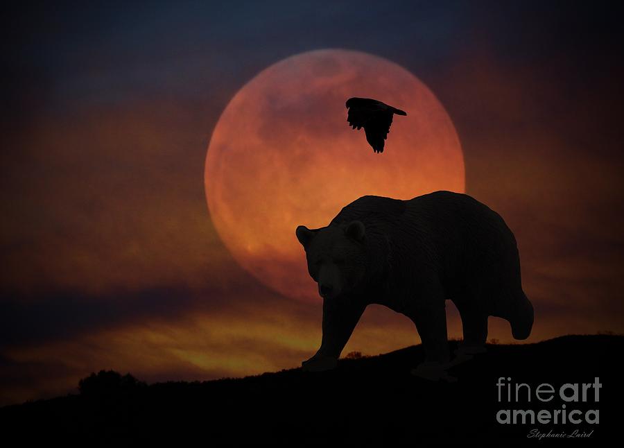 Bear and Moon Photograph by Stephanie Laird