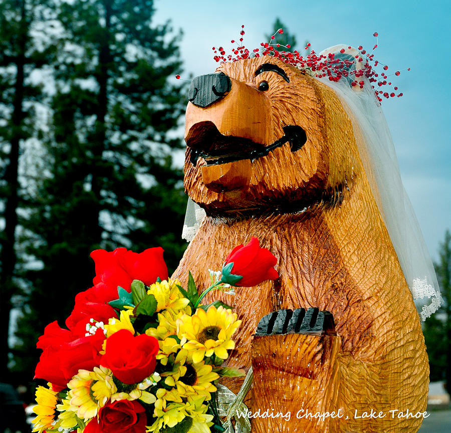 Bear at the wedding chapel Lake Tahoe Photograph by LeeAnn McLaneGoetz McLaneGoetzStudioLLCcom