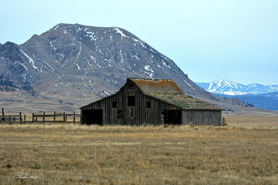 Bear Butte Barn Photograph by Fiskr Larsen
