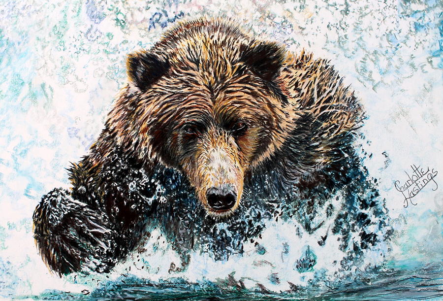 Bear Drawing by Charlotte Hastings