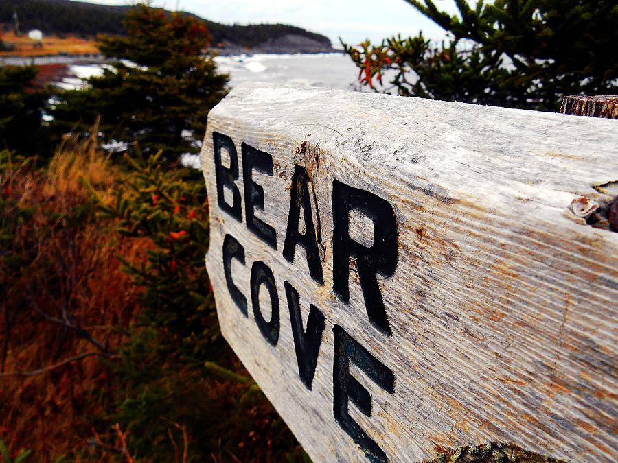 Bear Cove Photograph by Zinvolle Art