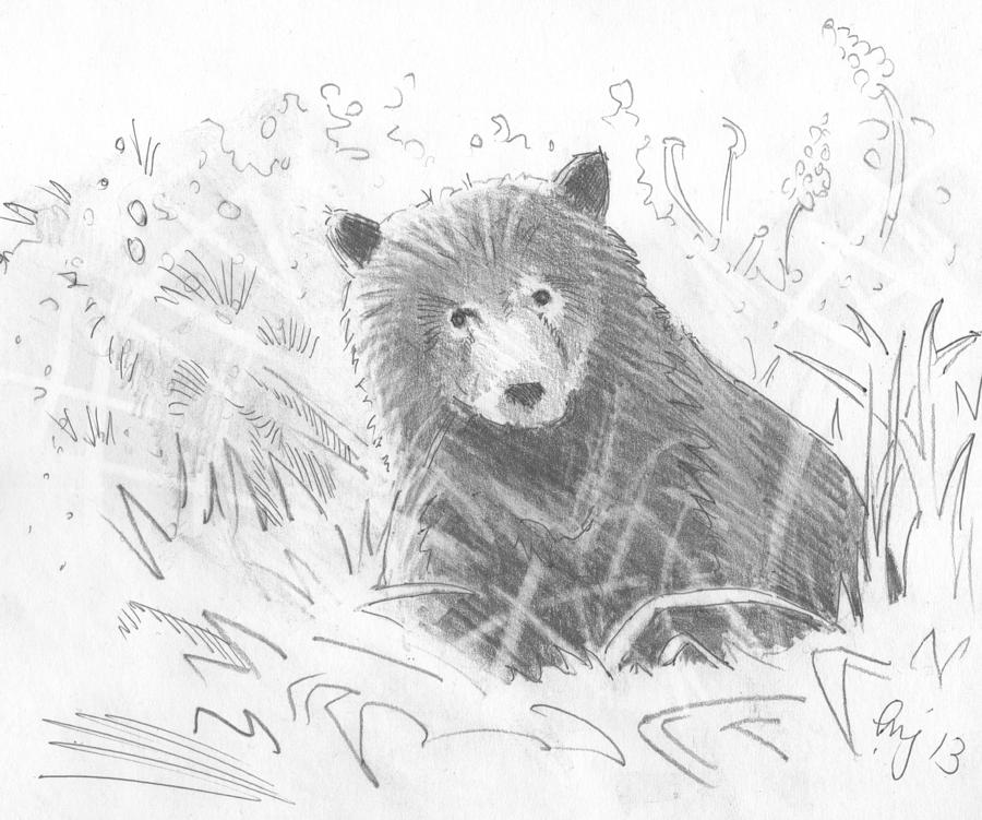 Bear Cub Drawing by Mike Jory