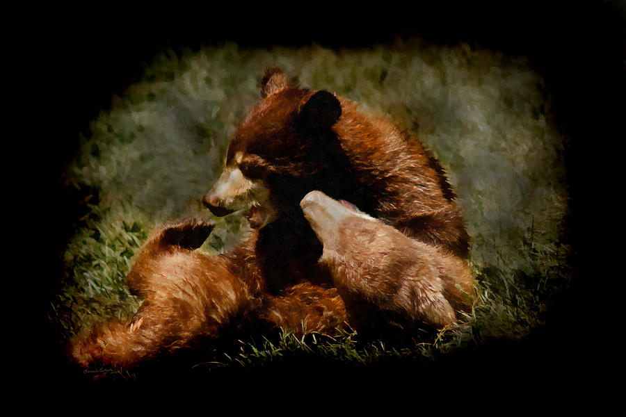 Bear Digital Art - Bear Cubs Playing by Ernest Echols