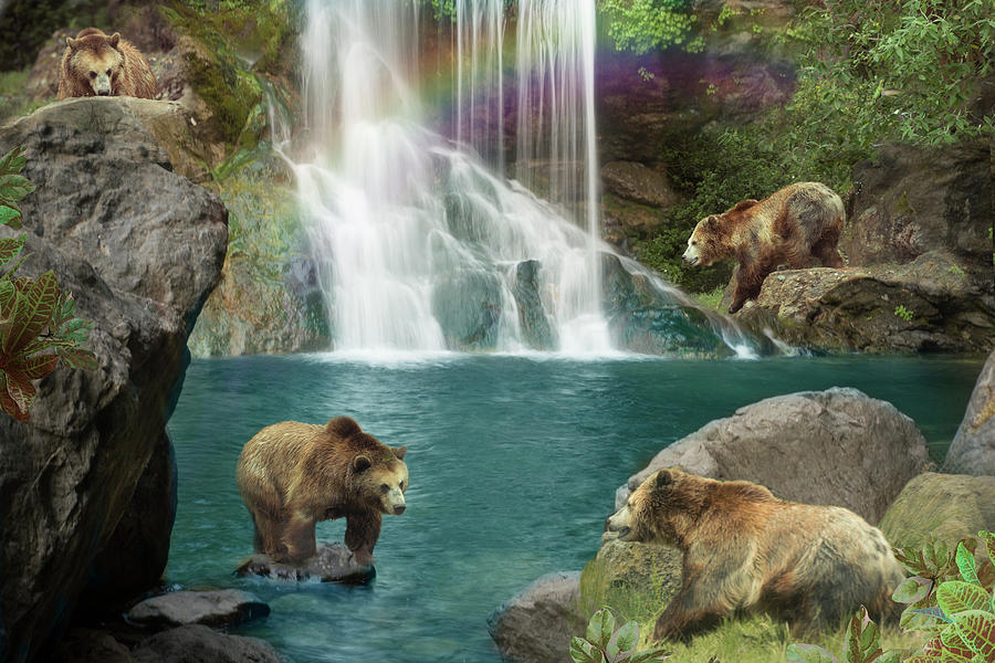Nature Drawing - Bear Falls by MGL Meiklejohn Graphics Licensing