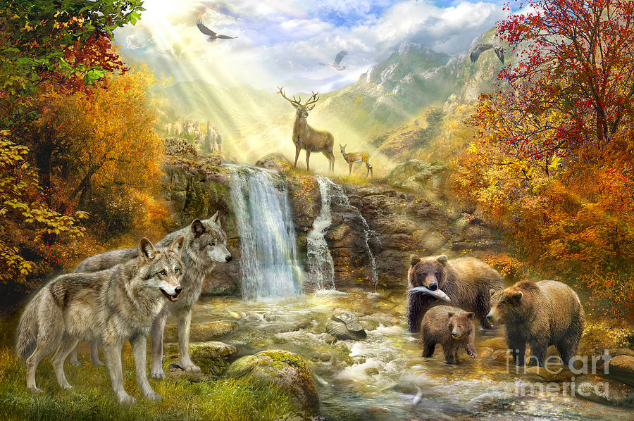 Bear Digital Art - Bear Falls by MGL Meiklejohn Graphics Licensing