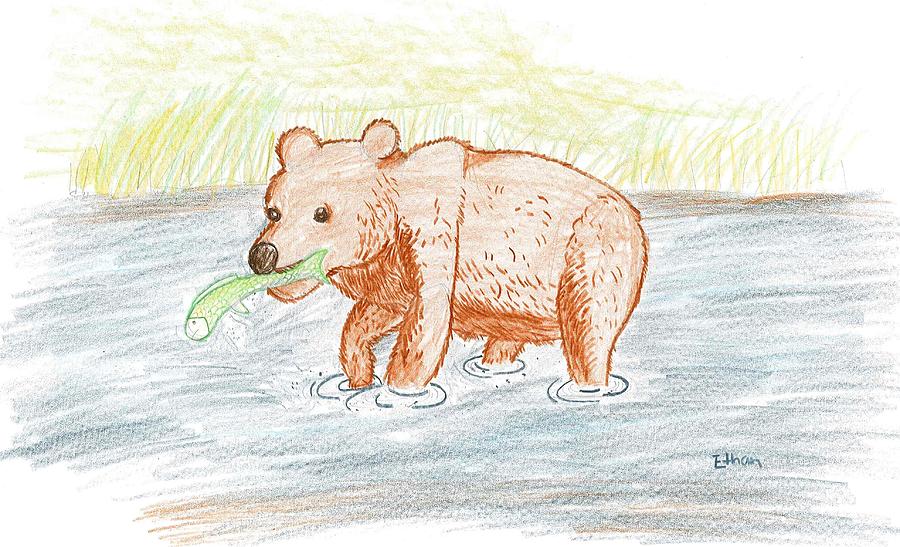 Bear Fishing Drawing by Ethan Chaupiz Fine Art America