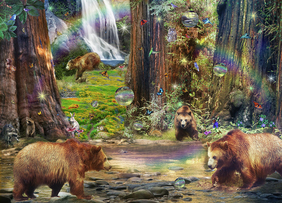 Bear Forest Magical 2 Drawing by MGL Meiklejohn Graphics Licensing