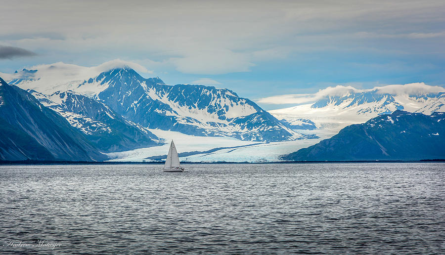 Bear Glacier Photograph by Andrew Matwijec