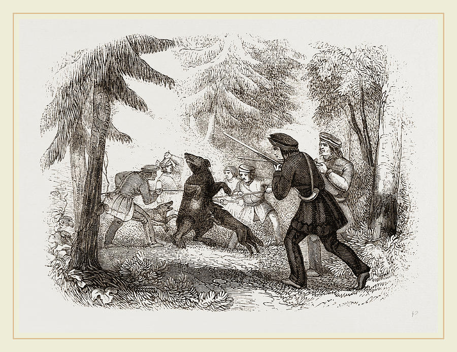 Bear Hunting By The Chippewayan Indians by Litz Collection