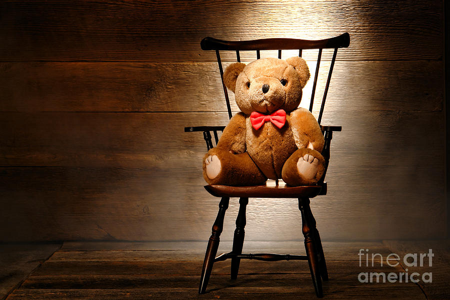 Bear in a Chair Photograph by Olivier Le Queinec