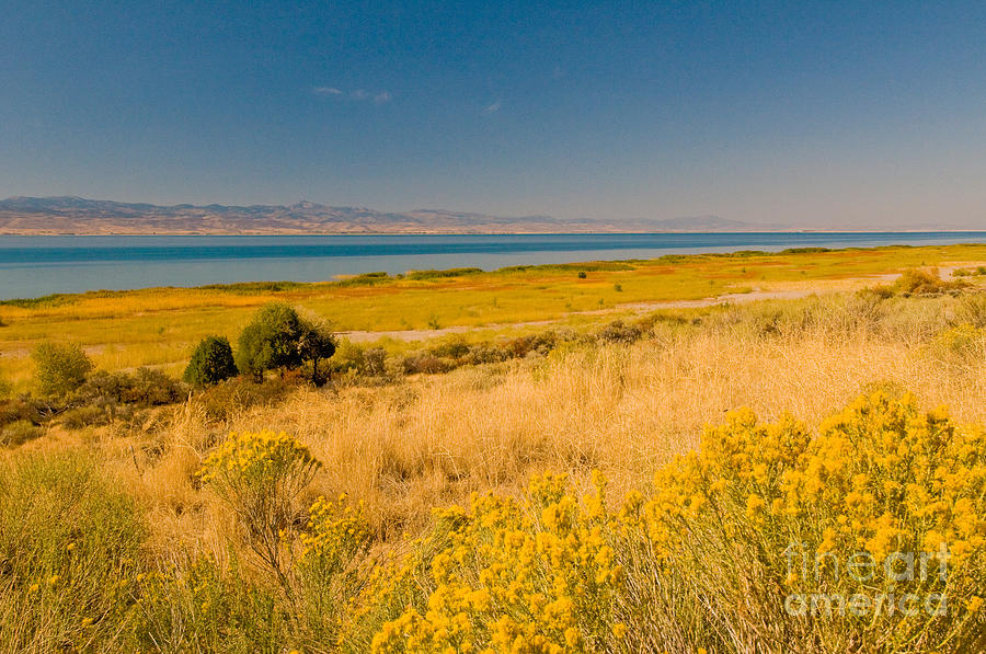 Bear Lake, Idaho Photograph by William H. Mullins Bear Lake, Idaho Photograph by William H. Mullins