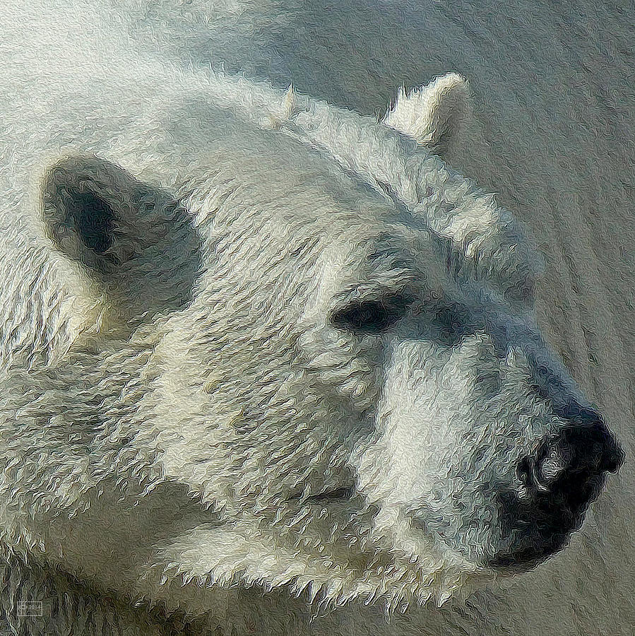 Bear Polar Digital Art by Jim Pavelle