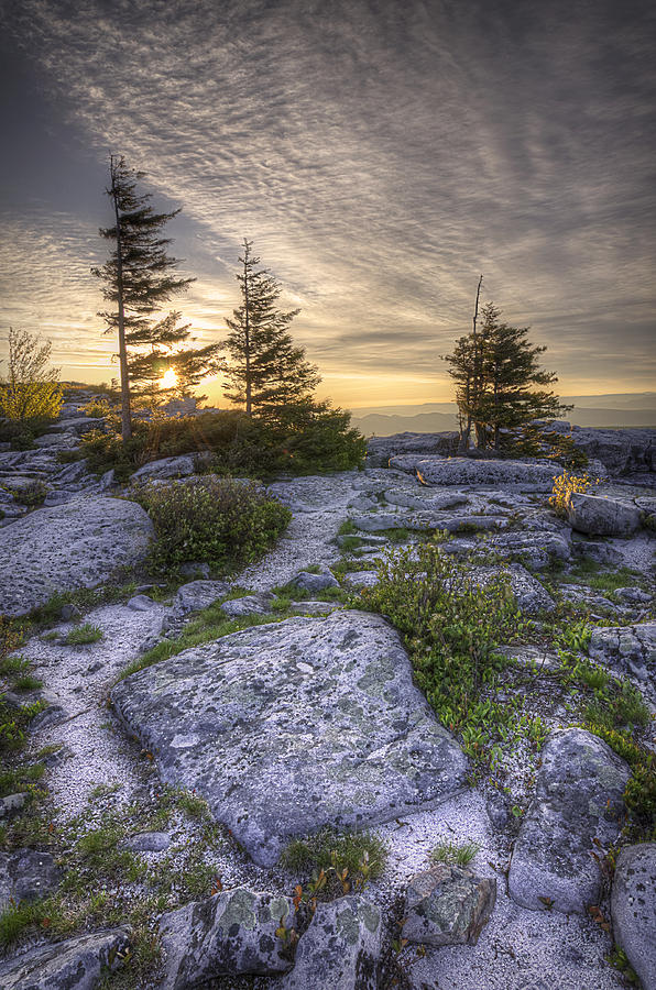 Bear Rocks Sunrise Photograph by Michael Donahue