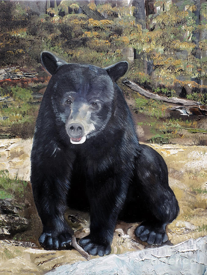 Bear - Wildlife Art - Ursus americanus Painting by Jan Dappen