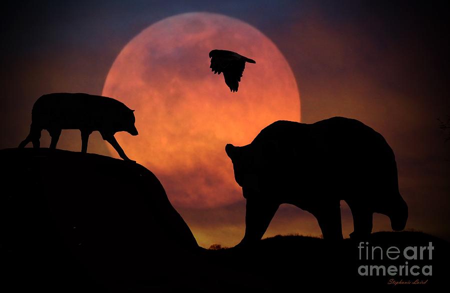 Bear Wolf and Hawk Photograph by Stephanie Laird
