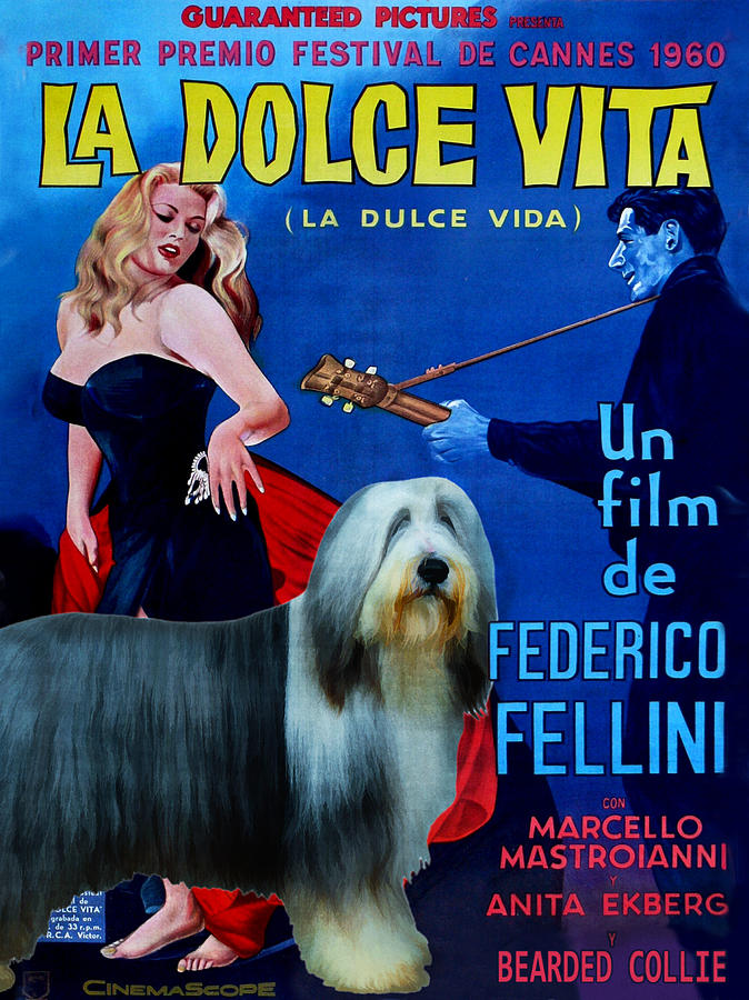 Bearded Collie Art Canvas Print - La Dolce Vita Movie Poster Painting ...