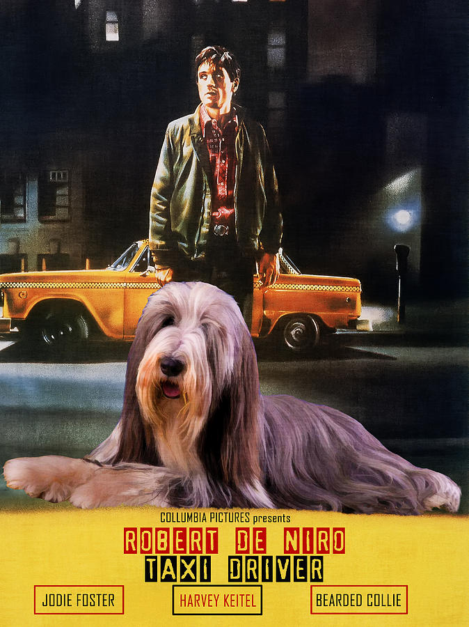 Bearded Collie Art Canvas Print - Taxi Driver Movie Poster Painting by Sandra Sij