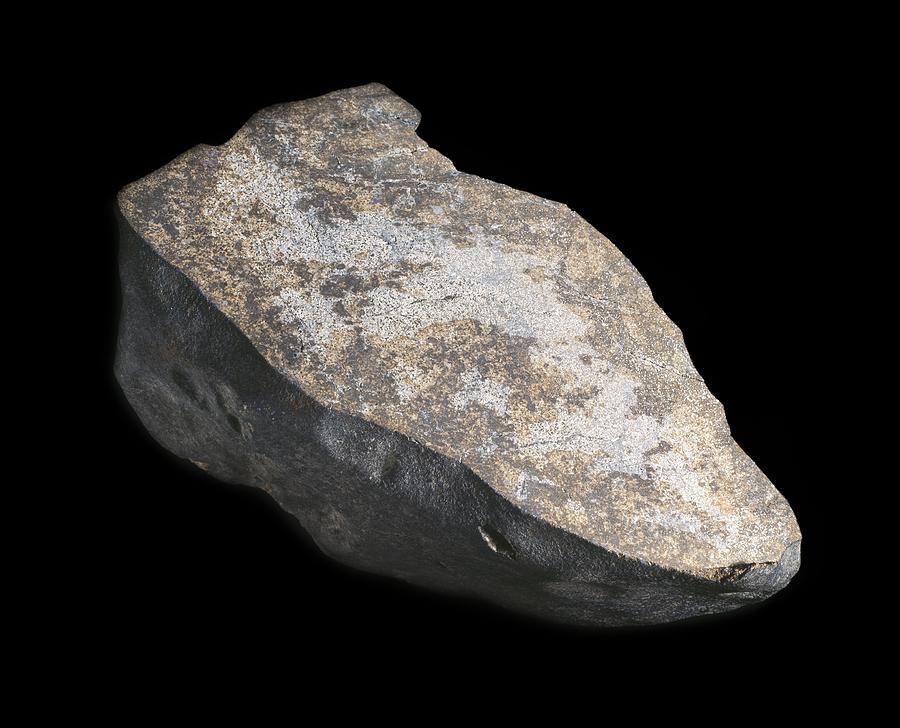 Beardsley Photograph - Beardsley chondrite meteorite by Science Photo Library