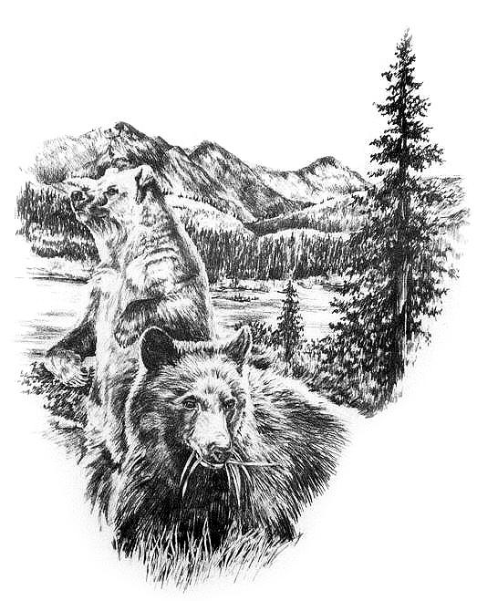 Wildlife Drawing - Bears of Rockbound by Jonni Hill