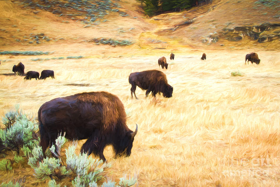 Beasts of Yellowstone Digital Art by Lori Dobbs