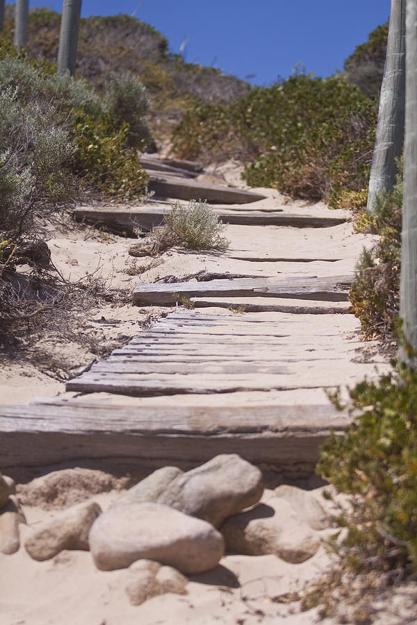 Up Movie Photograph - Beach Path by Michelle Wrighton