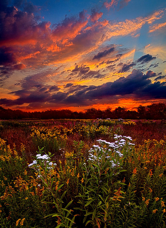 Beating Hearts Photograph by Phil Koch - Fine Art America